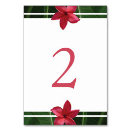Red Frangipani Plumeria Wedding Tischnummer