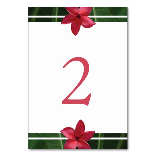 Red Frangipani Plumeria Wedding Tischnummer (Vorderseite)