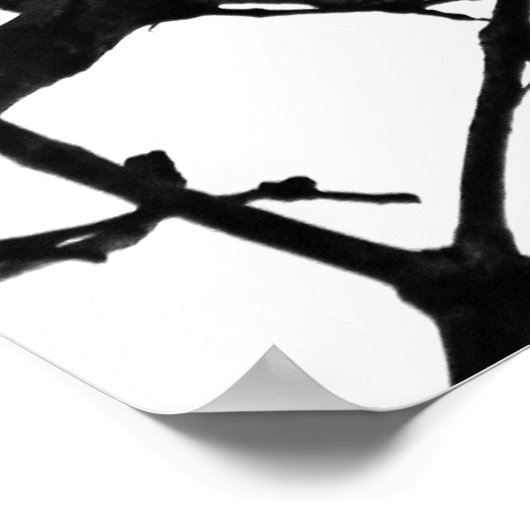 Red free to fly poster (Ecke)