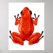 Red Frog Digital Print | Froschwand Poster (Vorne)