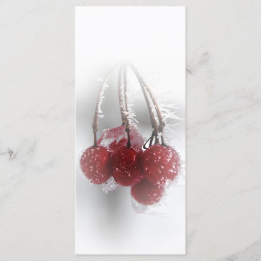 Red Frosty Berries Winter Wedding Program Programm (Vorderseite)