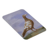 Red Fuss Carrier Pigeon Magnet (Rechte Seite)