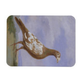 Red Fuss Carrier Pigeon Magnet (Horizontal)