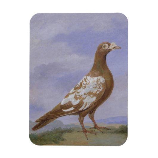 Red Fuss Carrier Pigeon Magnet (Vertikal)