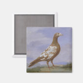 Red Fuss Carrier Pigeon Magnet (Vorderseite/Rückseite)