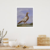 Red Fuss Carrier Pigeon Poster (Küche)