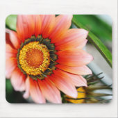 Red Gazania Mousepad (Vorne)