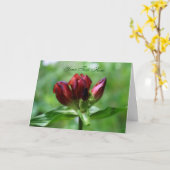 Red Gentian Blume Foto Card Karte (Gelbe Blume)