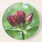 Red Gentian Floral Untersetzer (Vorne)