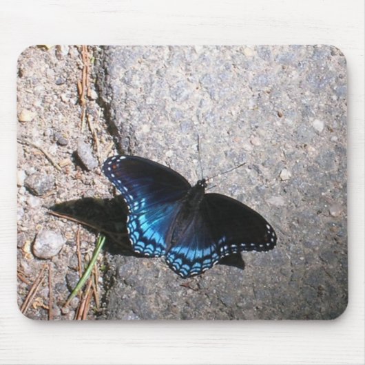 Red Gepunktet Admiral Butterfly Mousepad (Vorne)