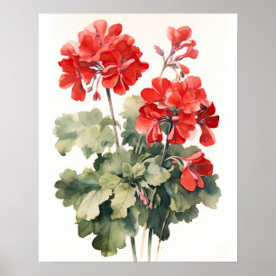 Red Geranium Blume Art Print Poster