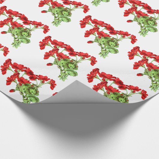 Red Geranium Blume Blumendesign Geschenkpapier (Ecke)