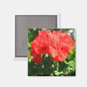 Red Geranium Blume Magnet (Vorderseite/Rückseite)