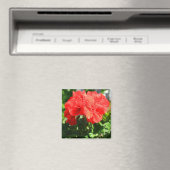 Red Geranium Blume Magnet (In Situ (Geschirrspüler))