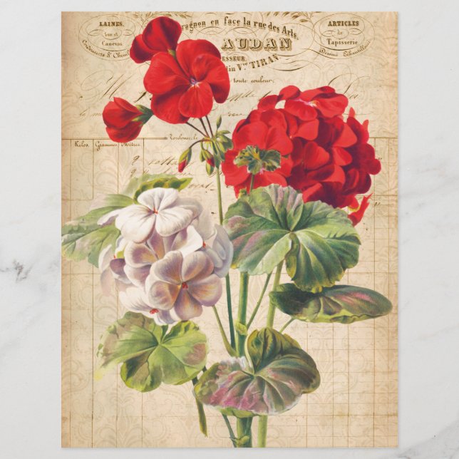 Red Geranium Collage Scrapbook Paper (Vorderseite)