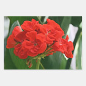 Red Geranium Geschenkpapier Set (Vorderseite 2)