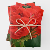 Red Geranium Geschenkpapier Set (Beispiel)