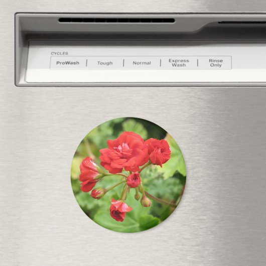 Red Geranium Magnet (In Situ (Geschirrspüler))