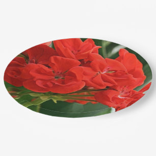 Red Geranium Pappteller