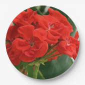 Red Geranium Pappteller (Vorderseite)