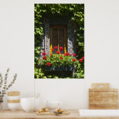 Red Geranium Window Poster (Küche)