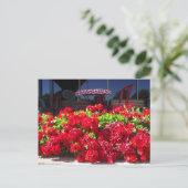 Red Geraniums Café Postcard Postkarte (Stehend Vorderseite)