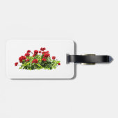Red Geraniums Gepäckanhänger (Rückseite horizontal)