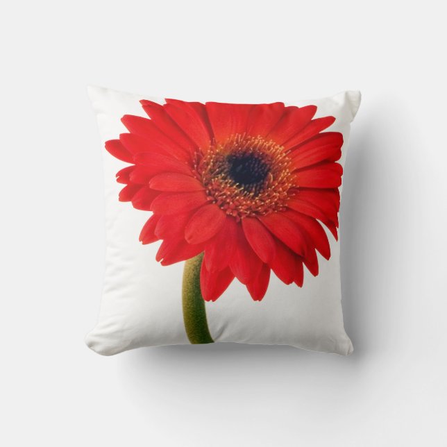Red Gerber Daisy Blume Floral Daisies Blume Kissen (Vorderseite)