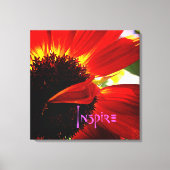 Red Gerber Daisy Closeup Foto Bold Modern Inspirie Leinwanddruck (Vorderseite)