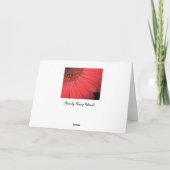 Red Gerber Daisy Karte (Rückseite)