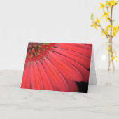 Red Gerber Daisy Karte (Gelbe Blume)