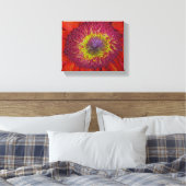 Red Gerber Daisy Leinwanddruck (Insitu (Schlafzimmer))