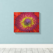 Red Gerber Daisy Leinwanddruck (Insitu (Holzboden))