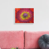 Red Gerber Daisy Leinwanddruck (Insitu (Wohnzimmer))
