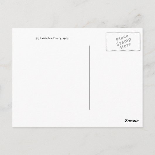 Red Gerber Daisy Postkarte (Rückseite)