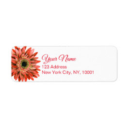Red Gerber Daisy Watercolor Calligraphy Return