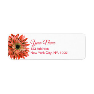 Red Gerber Daisy Watercolor Calligraphy Return