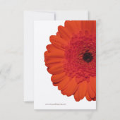 Red Gerber Daisy Wedding RSVP Cards (Rückseite)