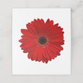 Red Gerber Gerbera Daisy Wedding Platzkarte (Außenseite Aufgefaltet)
