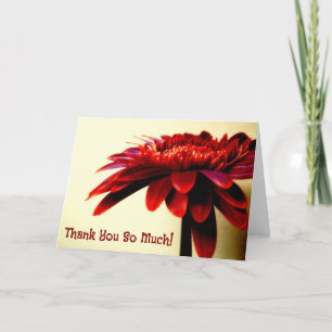 Red Gerbera Blume Dankeschön Card Dankeskarte