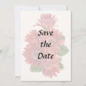 Red Gerbera Daisies Save The Date (Rückseite)