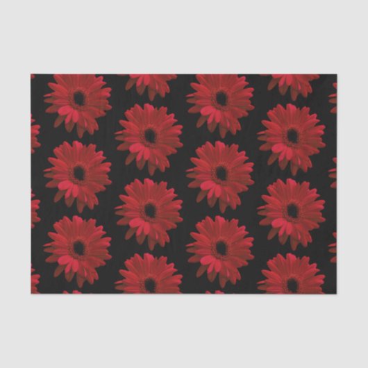 Red Gerbera Daisies Seidenpapier (Vorderseite)