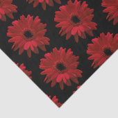 Red Gerbera Daisies Seidenpapier (Ausschnitt)