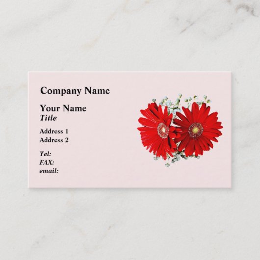 Red Gerbera Daisies und Stephanotis Visitenkarte (Vorderseite)