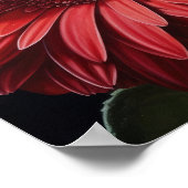 Red Gerbera Daisy Blume Art Print Poster (Ecke)