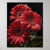 Red Gerbera Daisy Blume Art Print Poster (Vorne)
