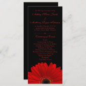 Red Gerbera Daisy Blume Black Wedding Program Programm (Vorne/Hinten)