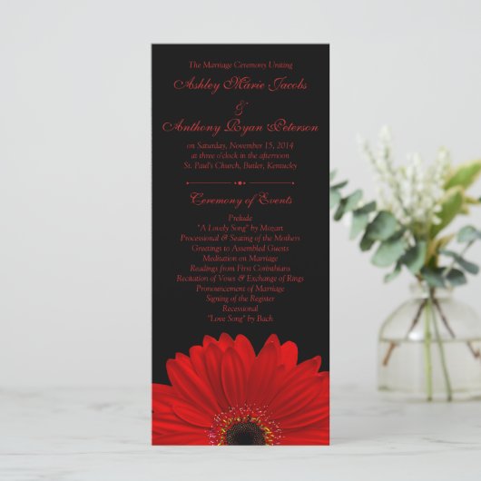 Red Gerbera Daisy Blume Black Wedding Program Programm (Stehend Vorderseite)