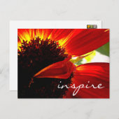 Red Gerbera Daisy Blume Inspirierte Script Modern Postkarte (Vorne/Hinten)
