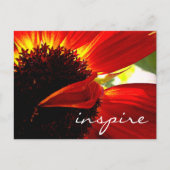 Red Gerbera Daisy Blume Inspirierte Script Modern Postkarte (Vorderseite)